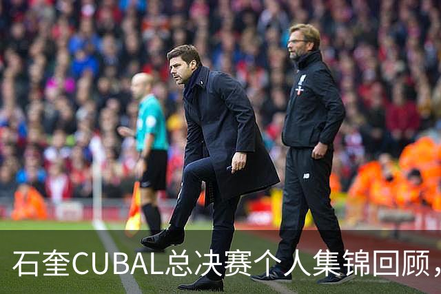 石奎CUBAL总决赛个人集锦回顾，全场得到33分11篮板