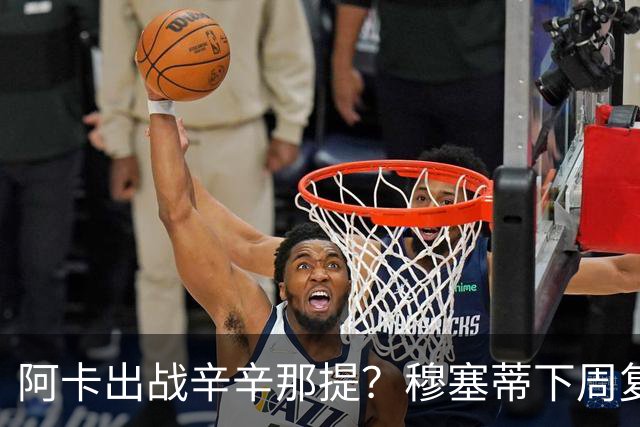 阿卡出战辛辛那提？穆塞蒂下周复出，卢宝送早餐，克娃又赢球